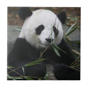 Giant panda ceramic tile