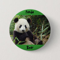giant-panda-china-big(1), Panda , Bear
