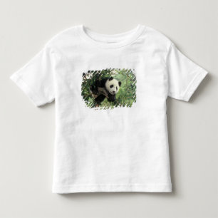 Giant Panda cub climbs a tree, Wolong Valley, Toddler T-Shirt