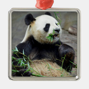 Giant panda eating bamboo metal ornament