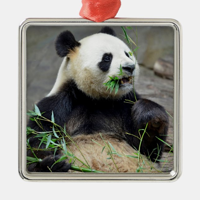 Giant panda eating bamboo metal ornament (Front)