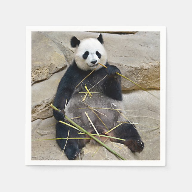Giant panda eating bamboo   napkin (Front)