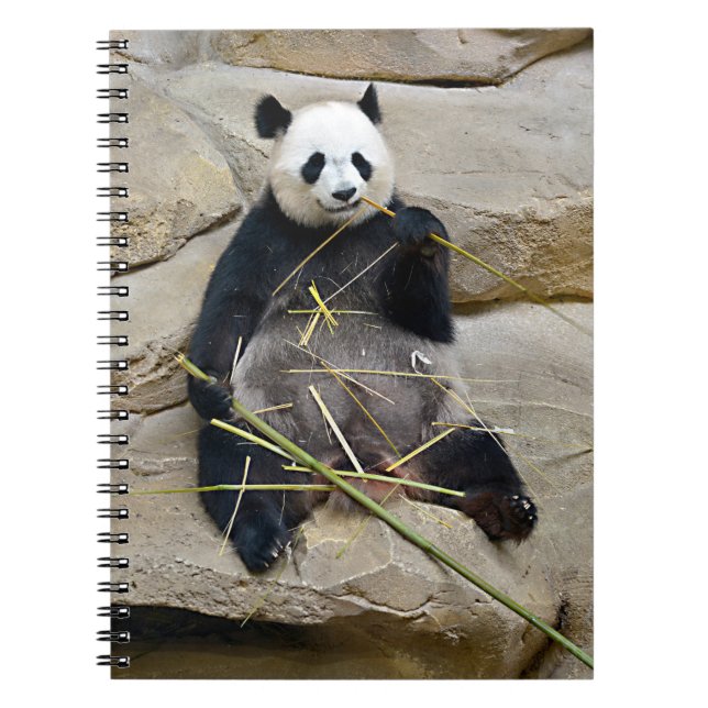 Giant panda eating bamboo   notebook (Front)