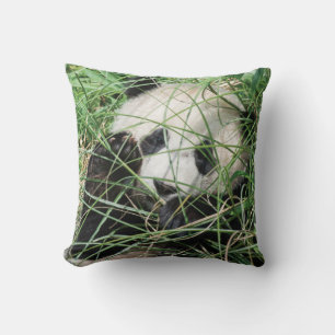 Giant Panda Hiding In Grass Cushion