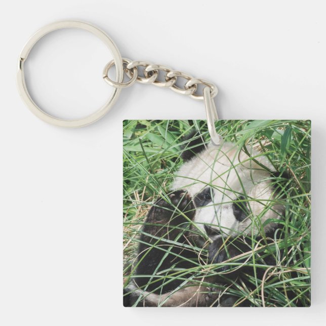 Giant Panda Hiding In Grass Key Ring (Front)