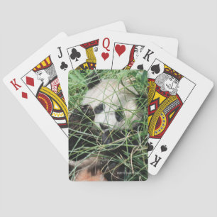 Giant Panda Hiding In Grass Playing Cards