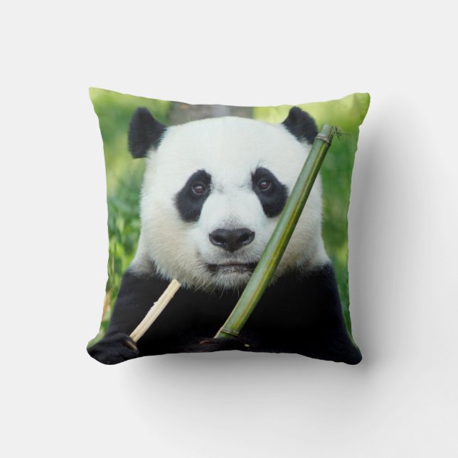 Giant Panda Holding Bamboo Cushion (Front)