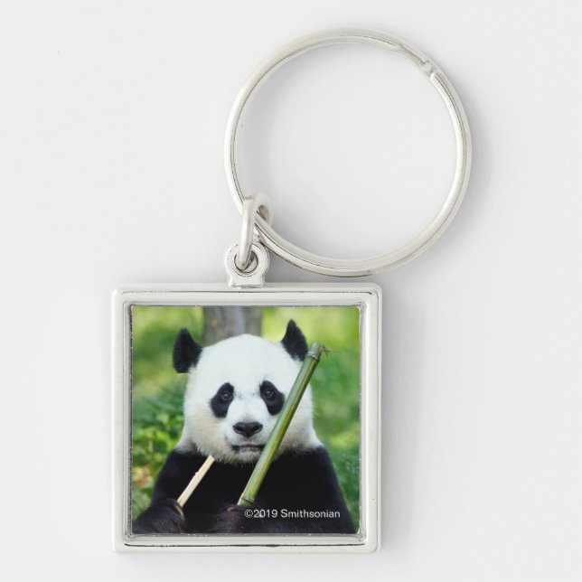 Giant Panda Holding Bamboo Key Ring (Front)