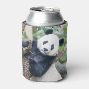 Giant Panda in a Tree Can Cooler