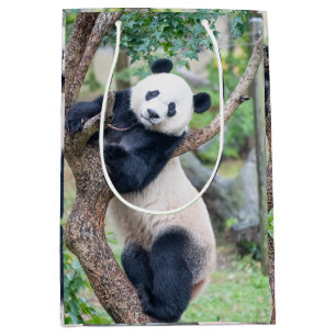 Giant Panda in a Tree Gift Bag