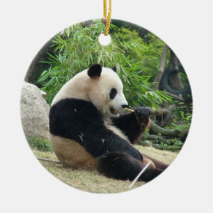 Giant panda in a wild animal zoo photography. ceramic ornament