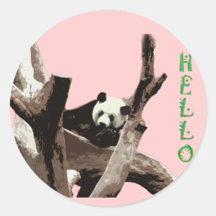 Giant panda in a wild animal zoo photography. classic round sticker