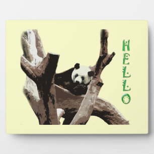 Giant panda in a wild animal zoo photography. plaque
