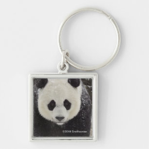 Giant Panda in Snow Key Ring