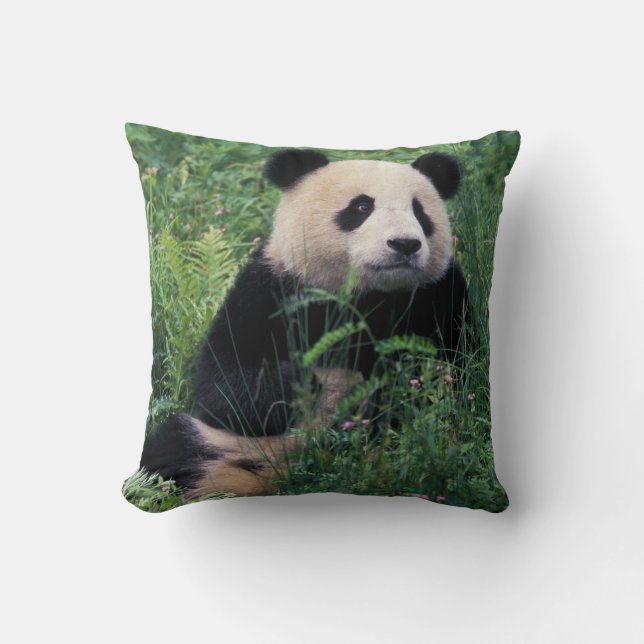 Giant panda in the grass, Wolong Valley, Sichuan Cushion (Front)