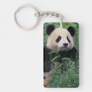 Giant panda in the grass, Wolong Valley, Sichuan Key Ring