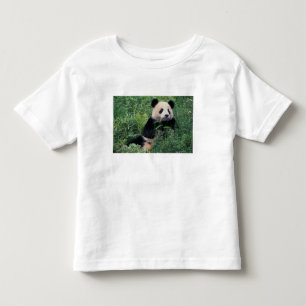 Giant panda in the grass, Wolong Valley, Sichuan Toddler T-Shirt