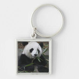 Giant panda key ring