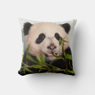 Giant Panda leaning Against Wall Cushion