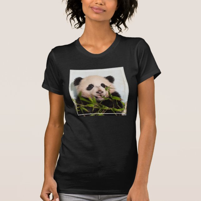 Giant Panda leaning Against Wall T-Shirt (Front)