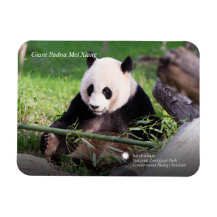 Giant Panda Mei Xiang Magnet