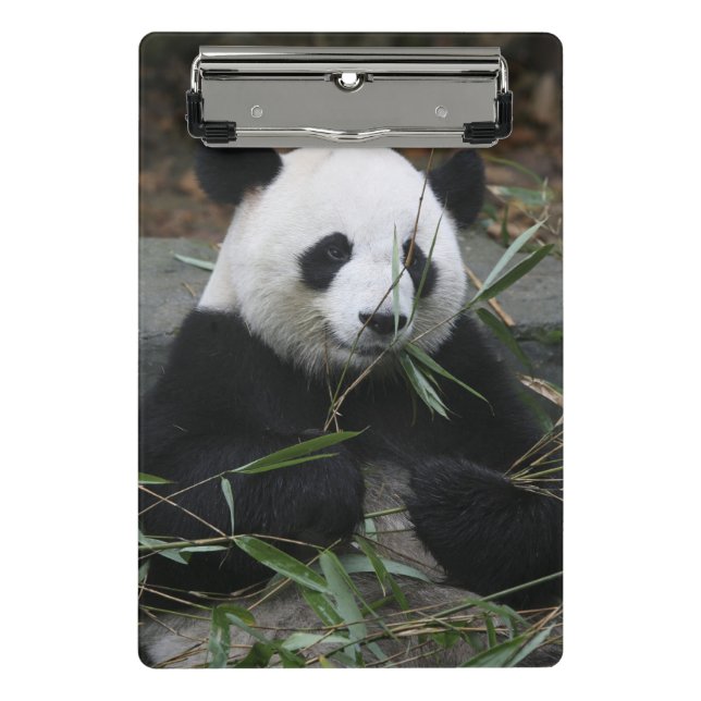 Giant panda mini clipboard (Front)
