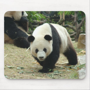 Giant panda mouse pad