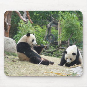 Giant panda mouse pad