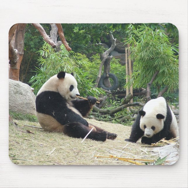 Giant panda mouse pad (Front)