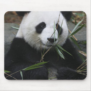 Giant panda mouse pad