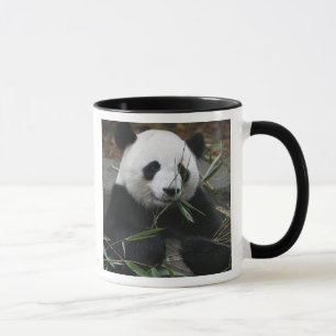 Giant panda mug
