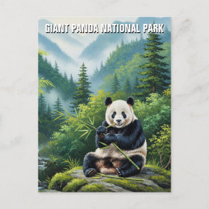Giant Panda National Park China Travel Postcard