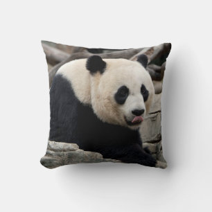 Giant Panda on Rocks Cushion