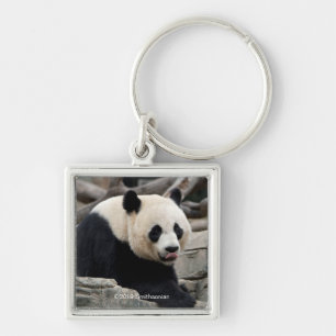 Giant Panda on Rocks Key Ring