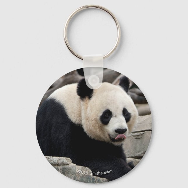 Giant Panda on Rocks Key Ring (Front)