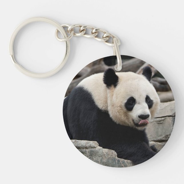 Giant Panda on Rocks Key Ring (Front)