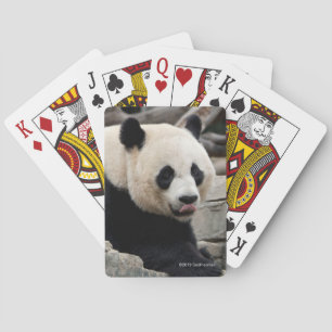 Giant Panda on Rocks Playing Cards