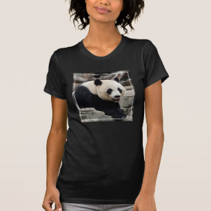 Giant Panda on Rocks T-Shirt