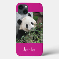 Giant Panda Pink Background, Name,