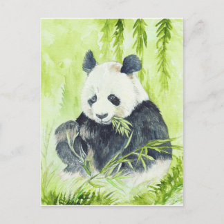 Giant panda postcard