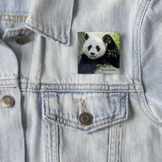 Giant Panda Resting Against Tree 15 Cm Square Badge (In Situ)