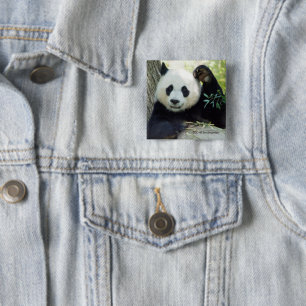 Giant Panda Resting Against Tree 15 Cm Square Badge