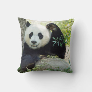 Giant Panda Resting Against Tree Cushion
