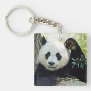 Giant Panda Resting Against Tree Key Ring