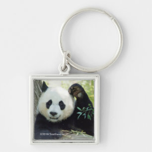 Giant Panda Resting Against Tree Key Ring