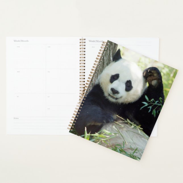 Giant Panda Resting Against Tree Planner (Display)