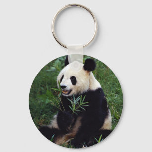 Giant panda, Sichuan Province, China Key Ring