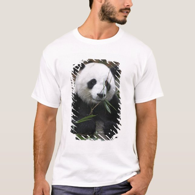 Giant panda T-Shirt (Front)