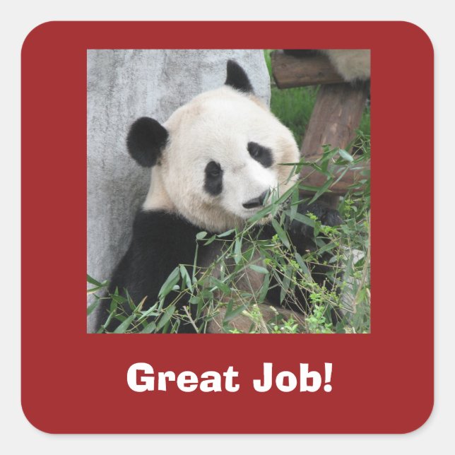 Giant Panda, Teacher, Great Job! Square Sticker (Front)
