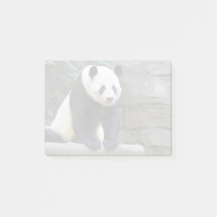 Giant Panda Yang Yang at Zoo Atlanta Post-it Notes